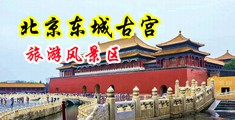 艹女孩子逼网站中国北京-东城古宫旅游风景区